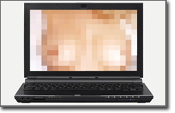 Pictured: the laptop and porn in question.