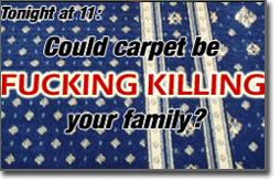 Pictured: could carpet be killing your family?