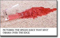 Pictured: the spilled juice that sent Obama over the edge.